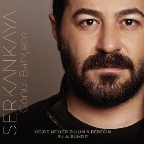 Bebeğim & Yiğide Neyler Zulüm album cover