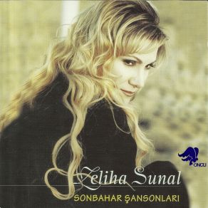 Sonbahar Sansonlari album cover