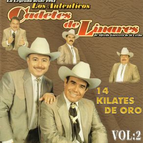 14 Kilates De Oro, Vol. 2 album cover