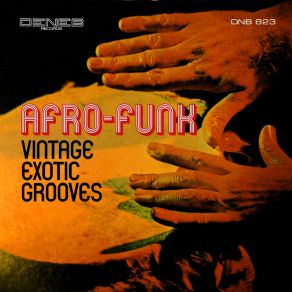 Vintage Exotic Grooves (Afro-Funk) album cover