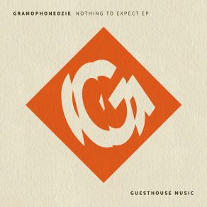 Nothing To Expect (Maxi-Single) album cover