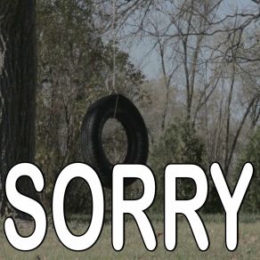 Sorry - Tribute To Beyonce album cover