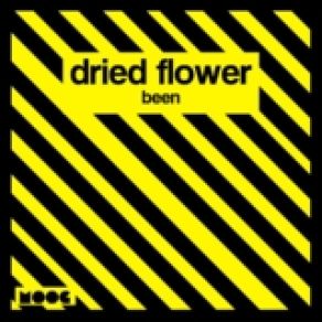 Been (Single) album cover