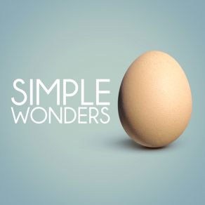Simple Wonders album cover
