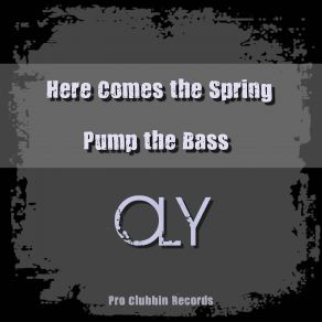 Here Comes The Spring (Maxi-Single) album cover