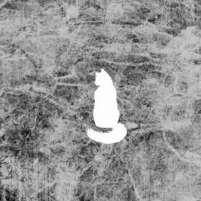 Where Is The Cat (Maxi-Single) album cover