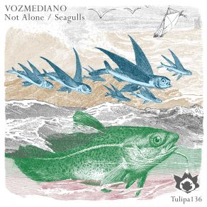 Not Alone Seagulls (Maxi-Single) album cover