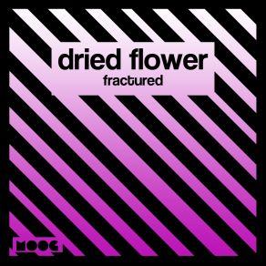 Fractured (Single) album cover