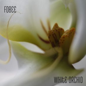 White Orchid album cover