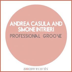 Professional Groove (Maxi-Single) album cover