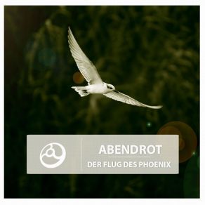 Der Flug Des Phoenix album cover