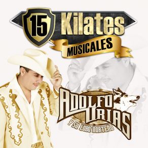 15 Kilates Musicales album cover