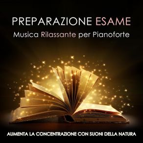 Preparazione Esame - Musica Rilassante Per Pianoforte Con Suoni Della Natura (Pioggia, Vento E Oceano) Per Aumentare La Concentrazione, Distendere E Calmare La Mente album cover