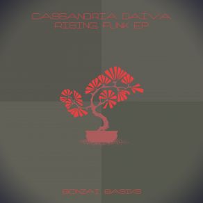 Rising Funk album cover
