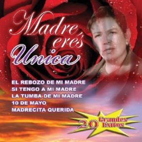 Madre Eres Unica album cover