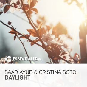 Daylight (Maxi-Single) album cover
