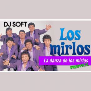 La Danza De Los Mirlos (Remix) (Single) album cover