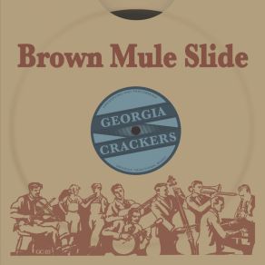 Brown Mule Slide album cover