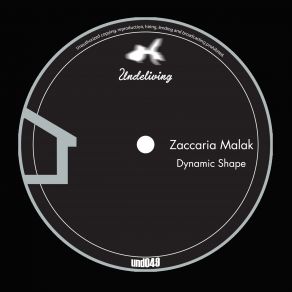 Dynamic Shape (Maxi-Single) album cover