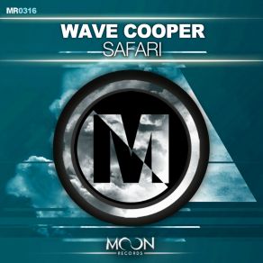 Safari (Single) album cover