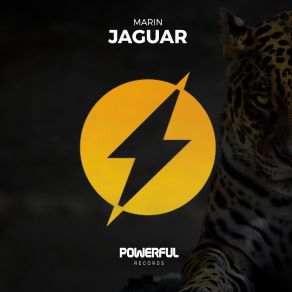 Jaguar (Single) album cover