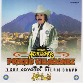 Exitos Nortenos album cover