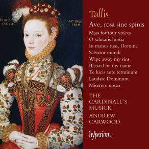 Tallis: Ave, Rosa Sine Spinis album cover