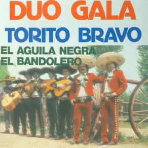 Torito Bravo album cover