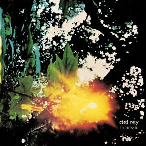 Immemorial album cover