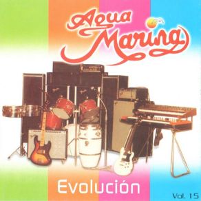 Vol. 15 Evolución album cover