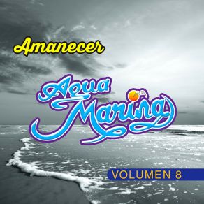 Vol. 8 Amanecer album cover