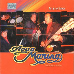 Vol. 13 Así Es El Amor album cover