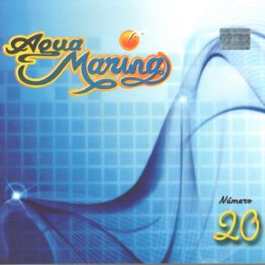 Vol. 20 Número 20 album cover