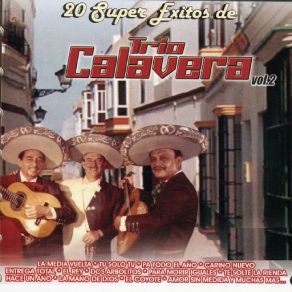 20 Super Exitos, Vol. 2 album cover