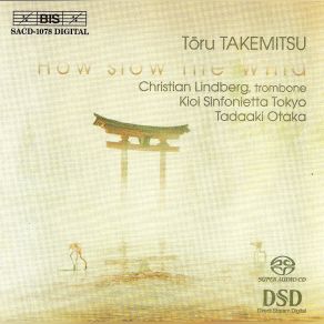 How Slow The Wind album cover
