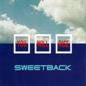 You Will Rise album cover