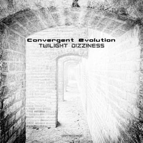 Twilight Dizziness album cover