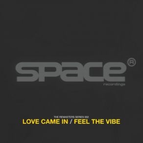 Love Came In / Feel The Vibe (Maxi-Single) album cover