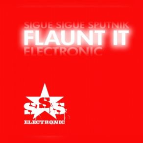 Flaunt It (Re-Recorded) album cover