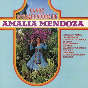 La Voz Desgarradora De Amalia Mendoza album cover