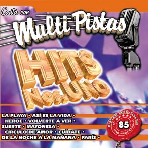 Canta Con Multi Pistas Hits Nos. Uno album cover