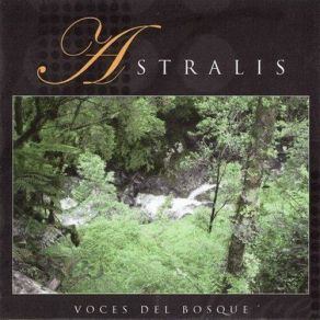 Voces Del Bosque album cover