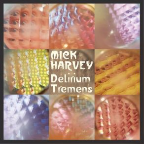 Delirium Tremens album cover