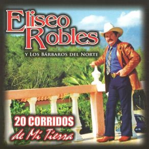 20 Corridos De Mi Tierra album cover
