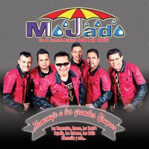 Homenaje A Los Grandes Grupos album cover