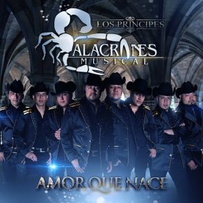 Amor Que Nace (Single) album cover