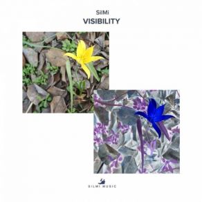 Visibility album cover