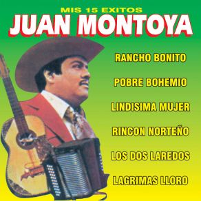 Mis 15 Grandes Exitos album cover
