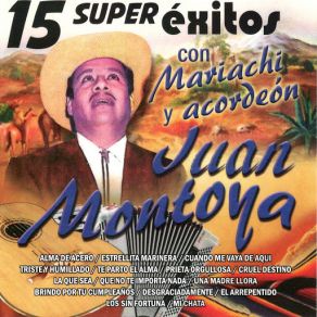 15 Super Exitos album cover