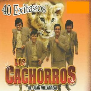 40 Exitazos (CD2) album cover